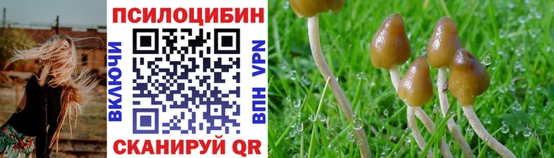 Псилоцибиновые грибы прущие грибы  что такое   Белый 