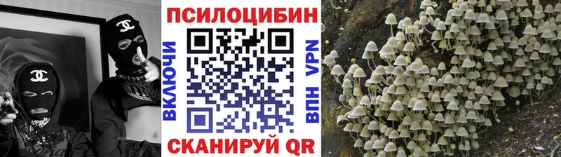 Псилоцибиновые грибы Psilocybe Белый